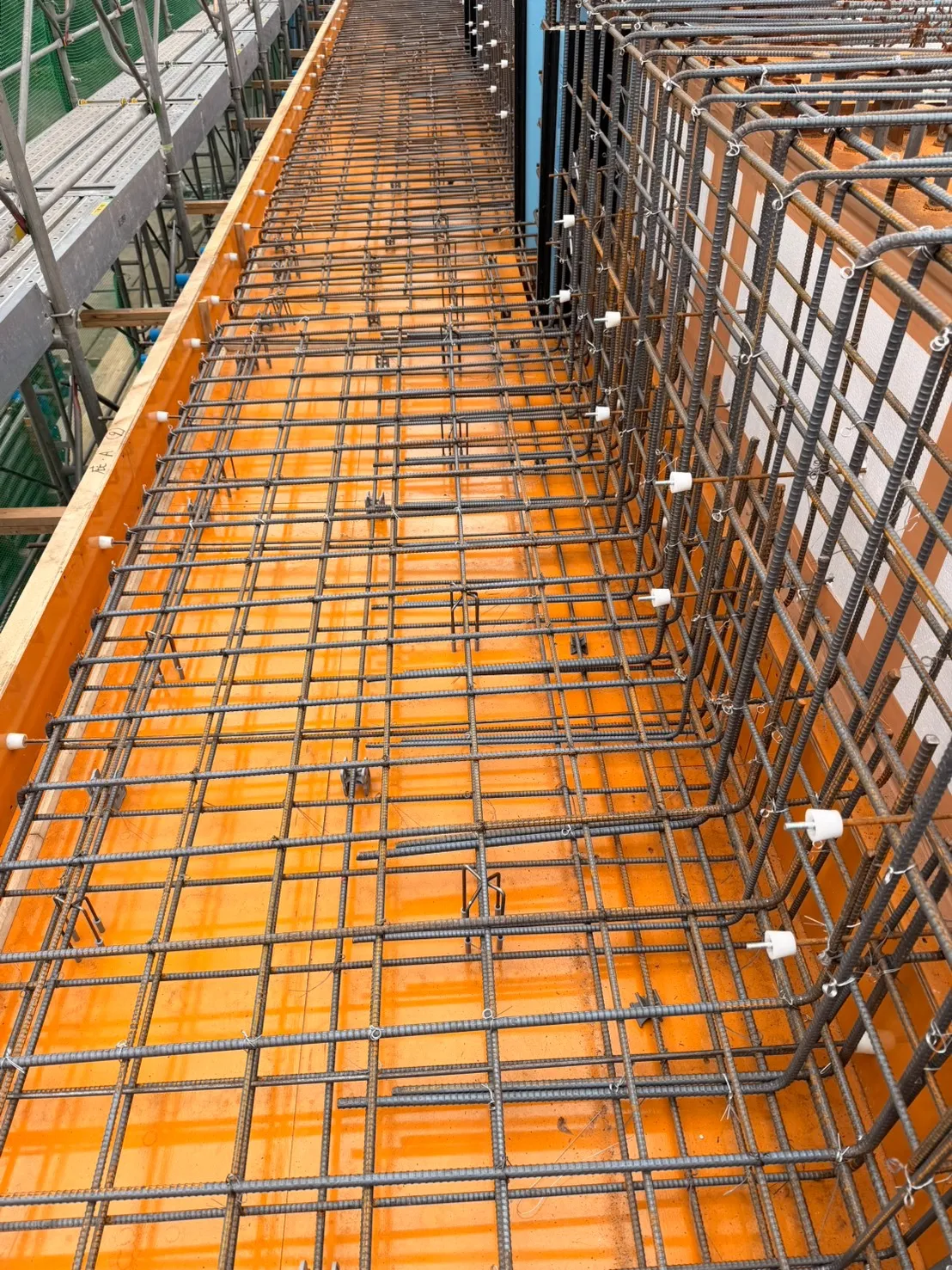 2か月ぶりの某大学！